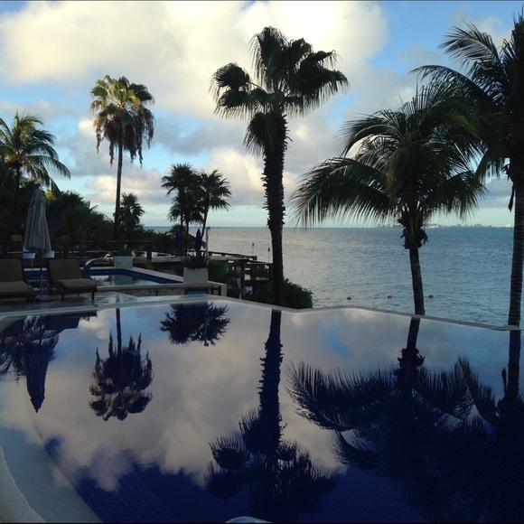 Meet your Posher, Joey - Picture 2 of 2